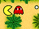 Pacman jungle